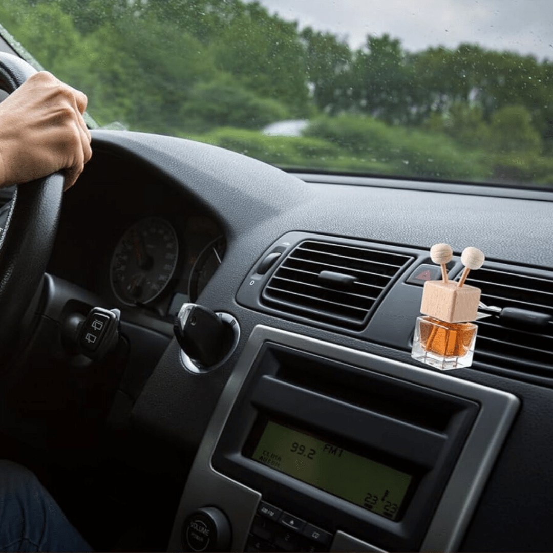 Ever After Ride Car Diffuser - RENAVE Co.